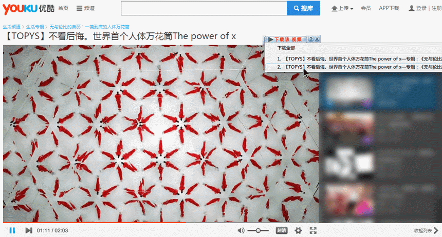 Windows 下载神器 IDM 限时优惠,49 元起步,118 元即享终生授权